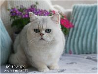 /vadim