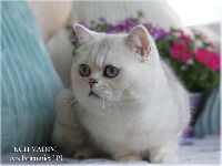 /vadim