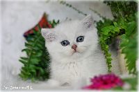 /gilbert