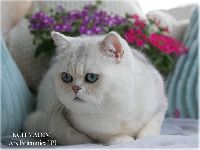/vadim