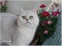 /ruslan