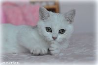 /mdmmia