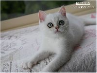 /klemens
