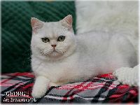/george
