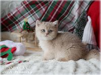 /candycane