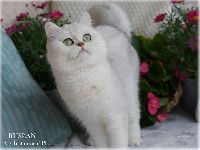 /ruslan