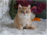 /zuri
