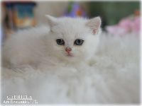 /gabriela