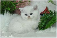 /gilbert