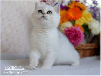 /jacintha