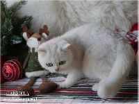 /gabriela