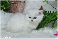 /gilbert