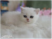 /gabriela