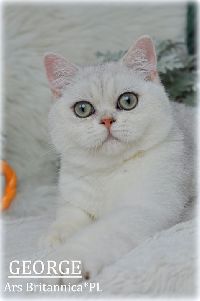 /george