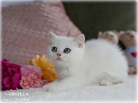 /gabriela