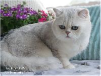 /vadim