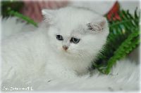 /gilbert