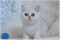 /george