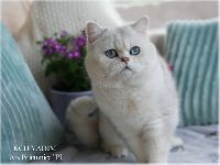 /vadim