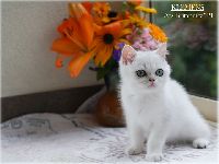 /klemens