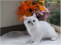 /klemens