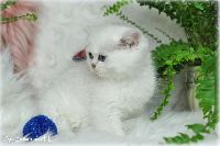 /gilbert