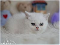 /gabriela