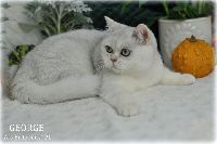 /george