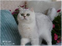 /ruslan