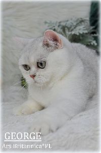 /george