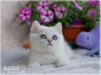 /kaiden