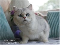 /vadim