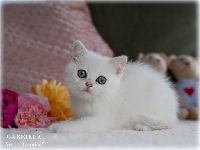 /gabriela