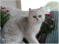 /ruslan
