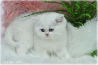 /gilbert