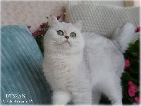 /ruslan