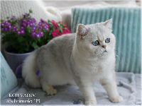 /vadim