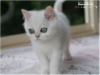 /klemens