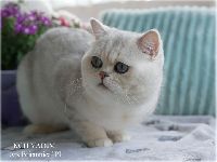 /vadim