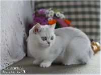 /galadriela