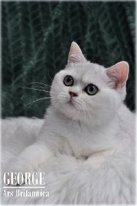 /george