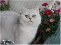 /ruslan