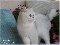 /ruslan