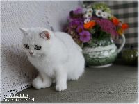 /gabriela
