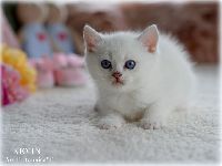 /kevin