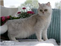 /ruslan