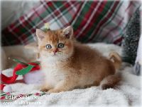 /christmas
