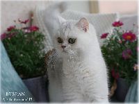 /ruslan