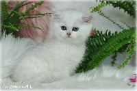 /gilbert