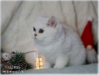 /valeria